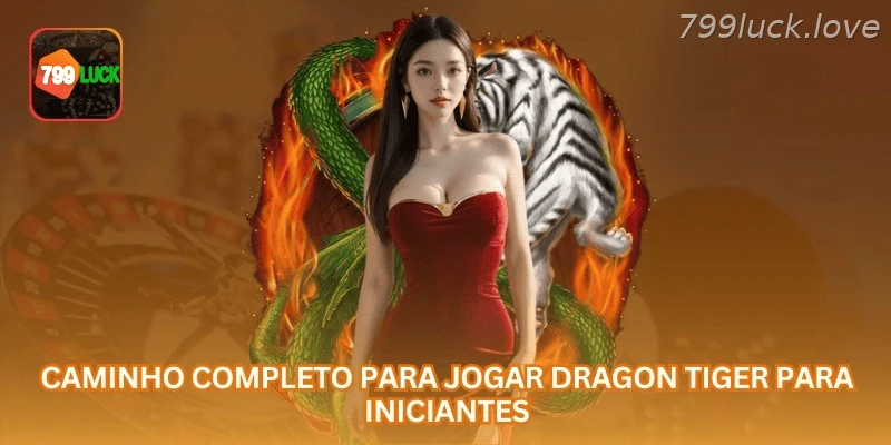 Análise de Dragon Tiger Online no catálogo de jogos online com regras claras